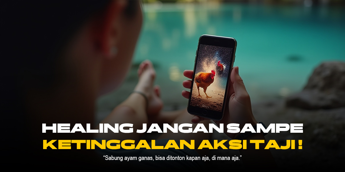 Menguak Jenis-Jenis Ayam Sabung di SV388 yang Jadi Primadona