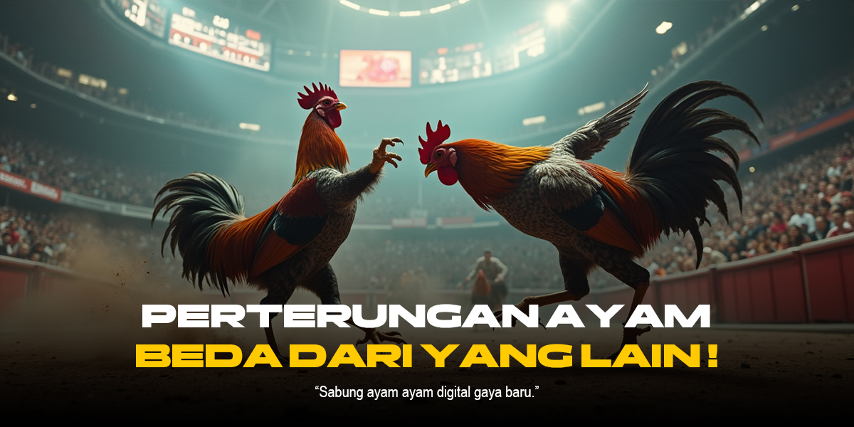 Mengenal Jenis Ayam Aduan dan Provider SV388 di Sabung Ayam