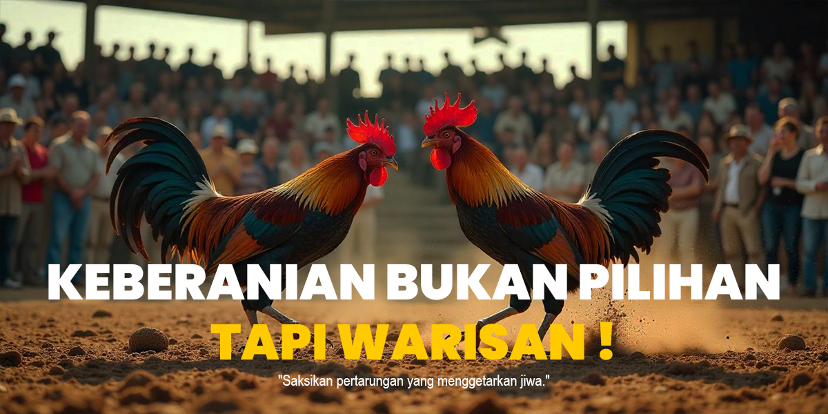 Rahasia Kemenangan SABUNG AYAM di SV388 yang Wajib Kamu Tahu